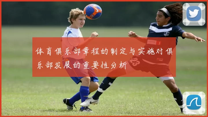 体育俱乐部章程的制定与实施对俱乐部发展的重要性分析