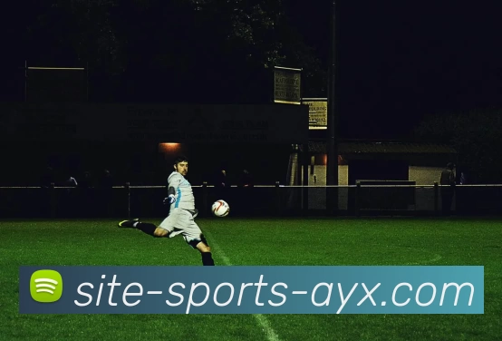 爱游戏平台生态图