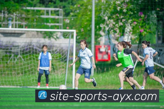 爱游戏APP 封面图